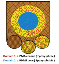 Epoxy matrix 내 micelle 형성