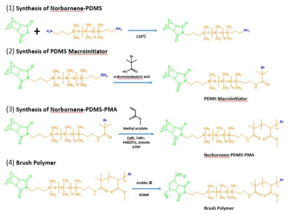 Norebornene-PDMS-b-PMA bottle brush polymer 합성