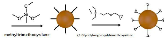 Epoxy가 접목된 PDMS 나노 입자