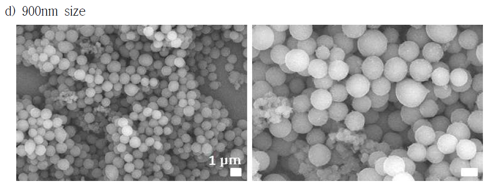 SEM image ( 900 nm size )