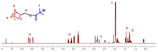 Norbornene-initiator의 NMR data