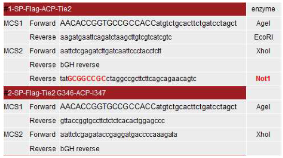 ACP vector에 Tie2를 삽입하기 위한 프라이머의 디자인