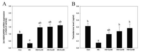 Testicular 3β-hydroxysteroid dehydrogenase (3β-HSD) mRNA (A) and serological testosterone concentration (B) levels in mice after heat stress (HS) with or without curcumin treatment (Cur: 20, 40 and 80 mg kg−1). Testosterone concentration and 3β-HSD mRNA level were significantly decreased in the HS group. However, curcumin supplementation significantly recovered these decreases to levels similar to the control group. The results are the means ± SEM (n = 5). a: vs. normal control (Con) and b: vs. HS at P < 0.05. GAPDH was used as an internal standard to normalize the target transcript expression