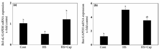 Quantitative real-time PCR analyses of mRNA of B-cell lymphoma-extra large (Bcl-xL; a) and BCL2-associated X protein (Bax; b) in testes following heat stress (HS) with or without capsaicin (Cap) pre-treatment. Anti-apoptotic factor Bcl-xL mRNA level was decreased by HS, but when cotreated with capsaicin, Bcl-xL mRNA level was significantly recovered relative to the HS group. Moreover, mRNA levels of pro-apoptotic factor Bax mRNA were significantly upregulated after HS stimulation, and this was significantly attenuated by capsaicin pre-treatment. Data represent the mean ± SEM. a: versus Cont at p < .05 and b: versus HS at p < .05