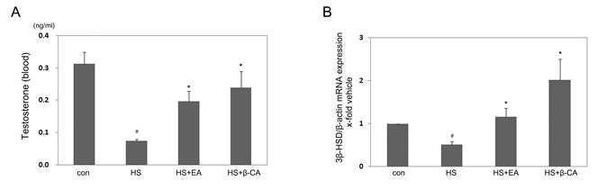 Serological testosterone (A) and testicular 3ß-hydroxysteroid dehydrogenase (3ß-HSD) mRNA (B) levels in mice after heat stress (HS) with or without treatment of ellagic acid (EA) or ß-carotene (β-CA). Testosterone concentration and 3β-HSD mRNA level were significantly decreased in the HS group. However, EA or β-CA supplementation significantly recovered these decreases to levels similar to the control group. Data represent the means ± SEM (n=6). #;vs.congroup.*;vs.HSgroupatP < 0.05