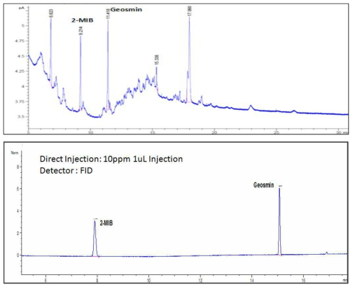 GC/FID 분석 데이터 (상단 : 10 ppb, TD+GC/FID 연계 분석, 하단 : 10 ppm GC Injector 직접주입)