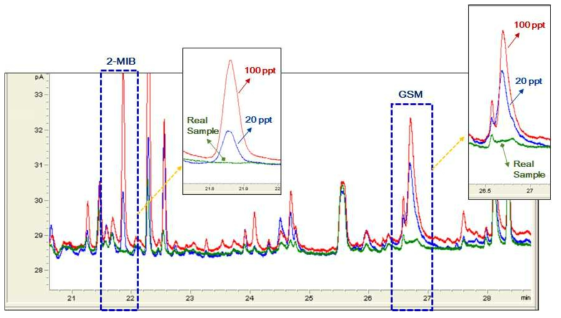 유입수 내 혼합표준물질을 spiking 한 분석 크로마토그램 (Red : 100 ppt, Blue : 20ppt)