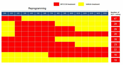 SRT1720의 리프로그램밍 증대 효과. SRT1720을 리프로그램밍 진행중에 기간 별로 0-200 nM SRT1720 처리한 후 20 일 후 alkaline phosphatase staining을 실시함