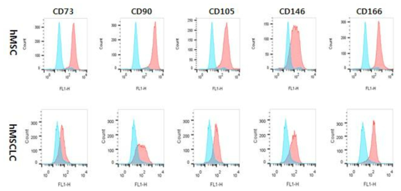 Flow cytometric analysis for human mesenchymal specific markers in hMSC and hMSCLCs