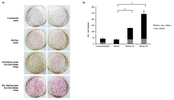 AP 염색을 통한 iPS cells 생성 효율 비교