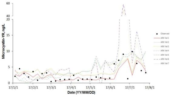 Microcystin-YR의 ARX model 검증 결과