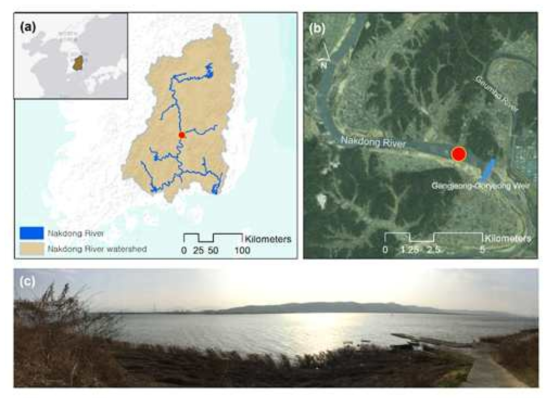 낙동강 집수역과 본 과제의 연구대상 지역 개황