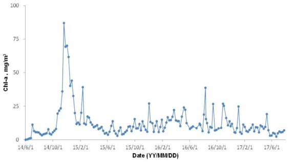 (a) 정수장 유입수 Chl-a 분석자료