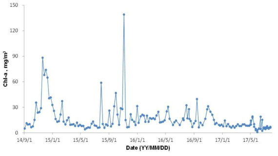 (b) 강정고령보 지표수 Chl-a 분석자료