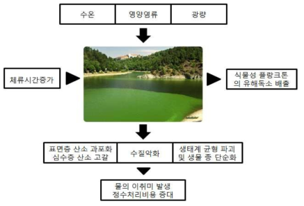 녹조의 원인 및 이로 인한 문제점