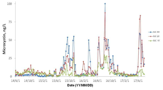 (a) 정수장 유입수 Microcystin 분석자료