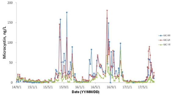 (b) 강정고령보 지표수 Microcystin 분석자료