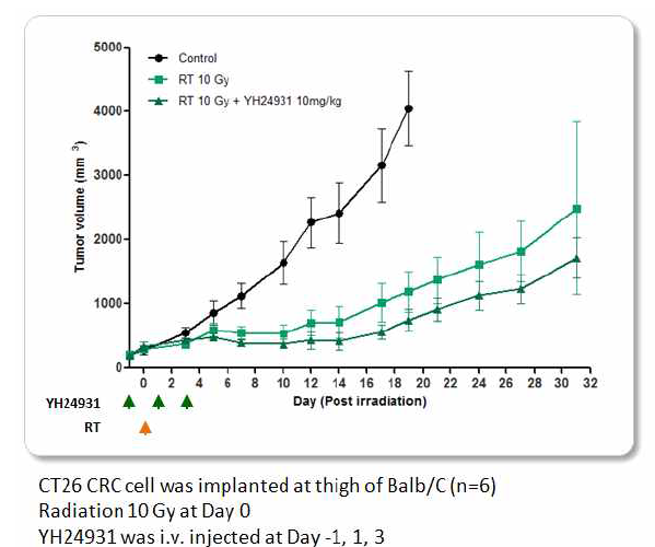 CT26 syngeneic model에서의 YH24931과 RT 병용에 대한 항암 효력 평가