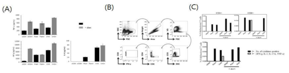 세포매개성 면역반응 유도특성 분석. (A) Cytokine 분석. (B) 특이적 T cell의 cytokine 분비에 대한 분석을 위한 lymphocyte gate전략. (C) Multifunctional T cell 분석 결과