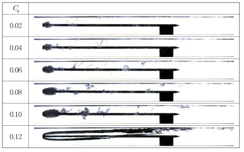 Development of super cavitation with various volume air flow coefficient(CNUT exp.)