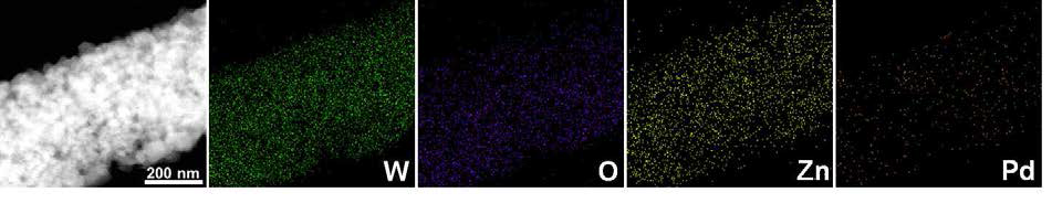 금속유기구조체 기반 Pd/ZnO 복합 촉매가 결착된 WO3 나노섬유의 TEM EDS 이미지