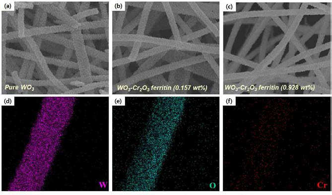 단백질 희생층으로 합성된 크롬 나노입자가 함유된 텅스텐 산화물 나노섬유의 주사전자 현미경 이미지 (a) 순수한 텅스텐 산화물 나노섬유, (b) 크롬 산화물 나노입자가 0.157 wt% 함유된 텅스텐 산화물 나노섬유 (c) 크롬 산화물 나노입자가 0.928 wt% 함유된 텅스텐 산화물 나노섬유. 단맥질 희생층으로 합성된 로듐 나노입자가 함유된 텡스텐 산화물 나노섬유의 투과전자현미경을 이용한 EDS의 원소 분석 (d) 텅스텐원소 (e) 산소원소 (f) 크롬원소
