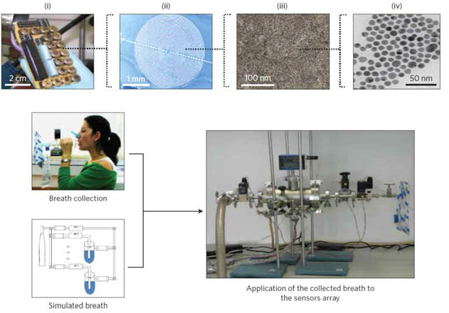 이스라엘 Technion university에서 개발한 폴리머-Au 나노입자를 이용한 폐암진단용 날숨 센서