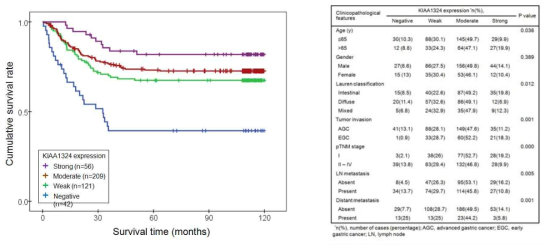 위암 환자에서 KIAA1324 발현양에 따른 생존률 및 병리학적 소견 분석
