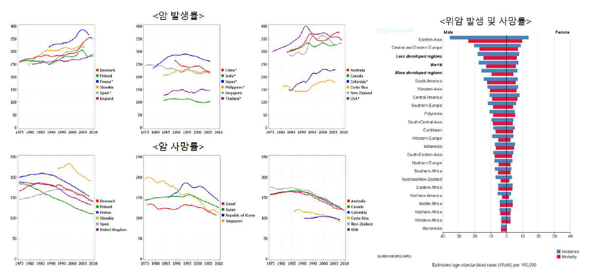 암발생 및 사망률의 세계적 추이 (GLOBOCAN 2012)