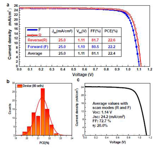 최고의 성능을 발휘하는 소형 및 대형 PSC의 전류 밀도-전압(J-V) 곡선 과 광전지 매개 변수 및 장치 재현성. a. 0.095 cm2 면적의 PSC에서의 J-V 곡선은 순방향 및 역방향 스캔 모드에서 작은 매개 변수를 나타냄. b. 80ea의 PSC에 대해 결정된 평균 전력 변환 효율의 히스토그램. c. 1 cm2 면적의 PSC에 대한 정방향 및 역방행 스캔 모드에 대한 J-V 곡선의 평균 값