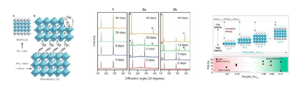 2D 물질을 혼합하여 제작한2D/3D 혼합된 페로브스카이트 태양전지의 고내구성