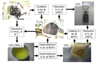 우라늄의 용해 및 산화환원 공정 개요