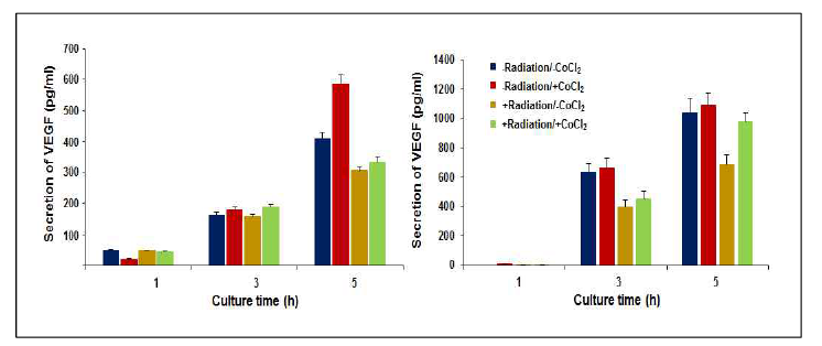 CT26 암세포주 (좌측) 및 HepG2 암세포주 (우측)를 PCL 나노섬유에서 배양하면서 CoCl2로 처리하거나 하지 않은 세포주에서 방사선을 조사하였을 경우 VEGF 분비의 차이점. 150 μM의 CoCl2를 첨가한 상태에서 8 Gy로 처리한 결과