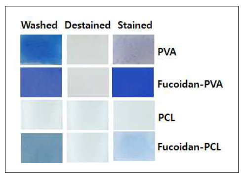 Fucoidan-PVA에 fucoidan을 검출하기 위한 methylene blue 염색 결과