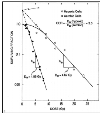 Survival curves for hypoxic and aerobic cells in cell culture
