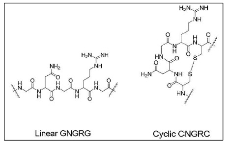 Linear 와 cyclic NGR의 구조