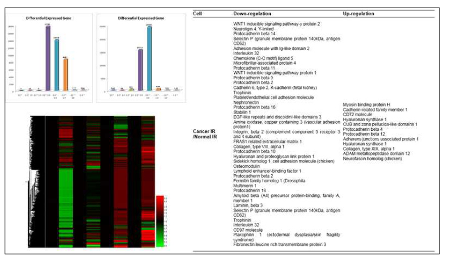 Expression of genes related to radiosensitivities between normal and cancer endothelial cells isolated from human breast cancer tissues under normoxia and hypoxia