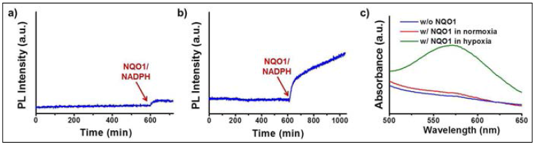일반적인 환경 (a)과 저산소환경 (b)에서 관찰한 NQO1에 감응하는 Si-Azo-CD-PEG의 release profile. c) 일반적인 환경과 저산소환경에서 실리카 표면에 도입된 azobenzene의 NQO1에 의한 분해를 ninhydrin test를 통해 확인한 데이터