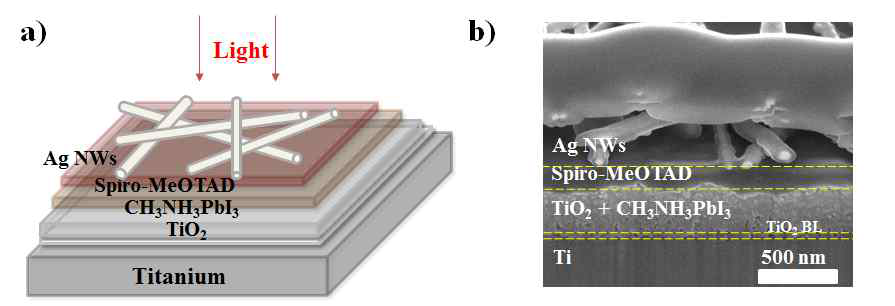 TCO free perovskite solar cell scheme과 단면 SEM 이미지