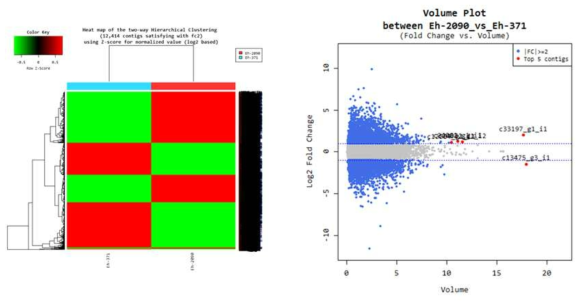 Transcriptome 비교분석 plot