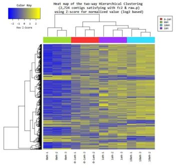 Heat Map