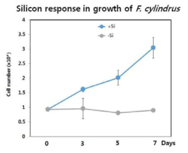 Silicon 결핍시 세포 동기화 및 성장 분석