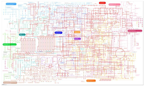 NGS 분석을 통한 F. cylindrus의 대사과정 확인