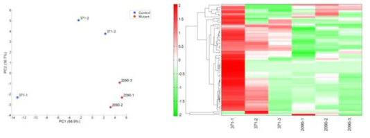 PCA plot and HCA result