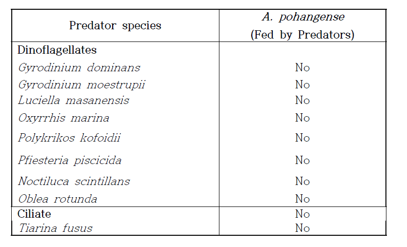 독성 편모류 Alexandrium pohangense와 A. pohangense를 잠재적으로 포식할 확률이 높은 편모류 및 섬모류를 함께 배양하여 확인한 포식 유무 실험 결과