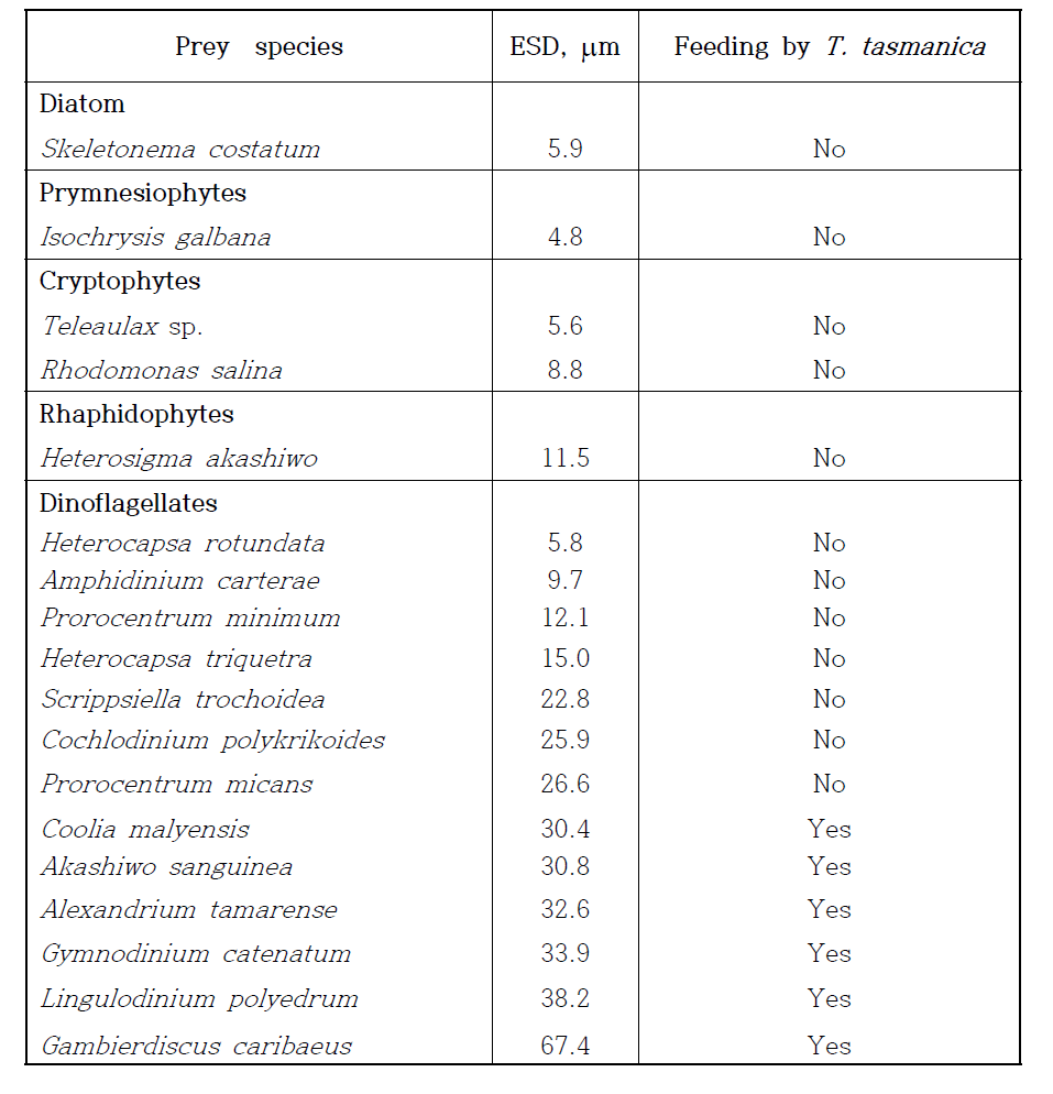 본 연구팀이 규명해 낸 혼합영양성 편모류 Takayama tasmanica의 다양한 먹이종류 및 이들에 대한 섭식 유무 실험 결과 (Unpbulished data)