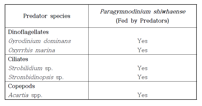 와편모류 Paragymnodinium shiwhaense를 포식함이 확인되어, P. shiwhaense의 포식자로서 실험에 사용된 와편모류, 섬모류 및 동물성플랑크톤에 대한 정보 (Jeong et al. 2017)