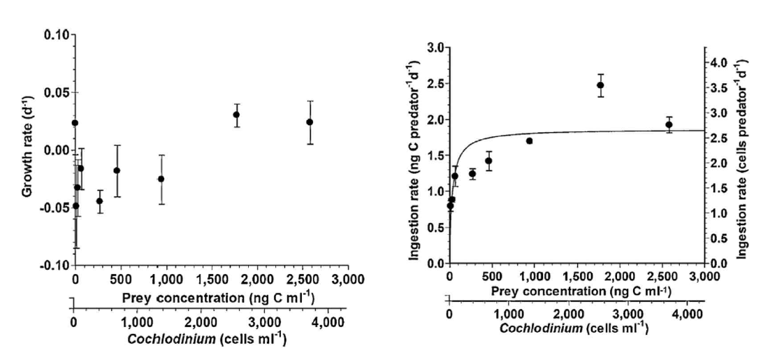 본 연구팀에서 분리, 배양한 편모류 Polykrikos hartmannii가 섭식하는 최적 먹이종인 Cochlodinium polykrikoides를 섭식하였을 때의 성장률 (Growth rate) 및 섭식률 (Ingestion rate) (Lee et al. 2015)