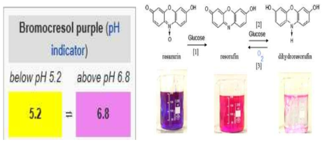Bromocresol purple의 pH변화에 따른 색변화 와 Resazurin의 작용원리