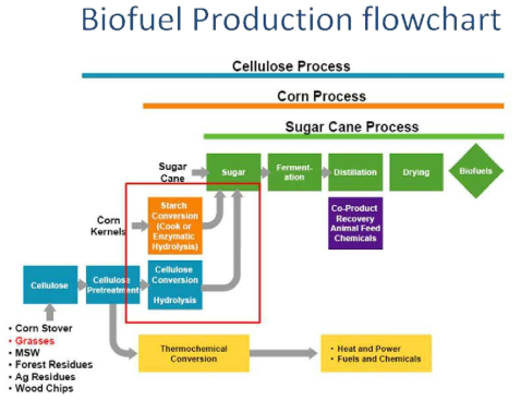 Biofuel 생산 공정 모식도